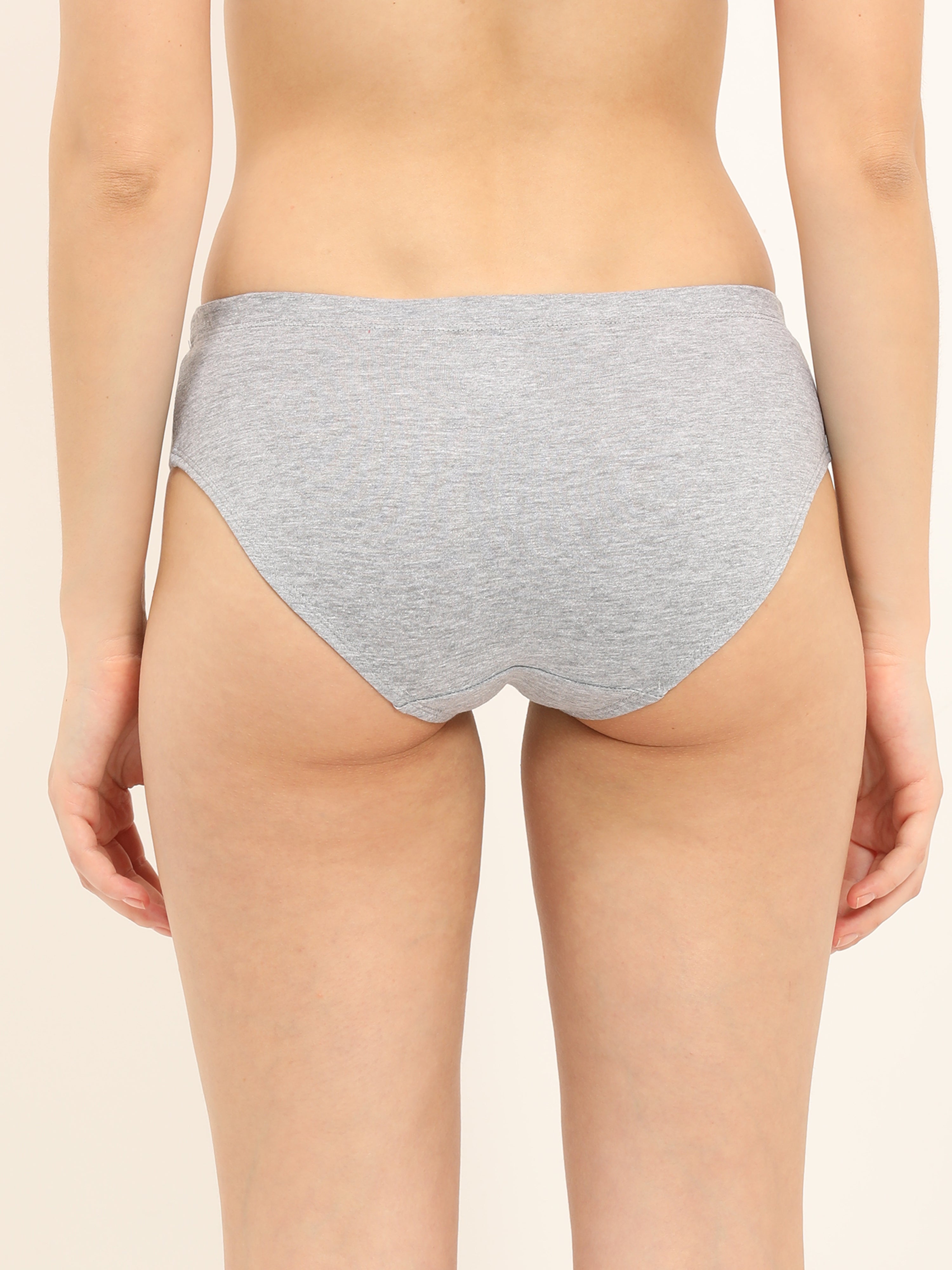 Envie Brief, Low rise panty (Pack of 3) Combo Red, Sapphire, Grey melange